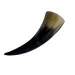 horn 1 copy