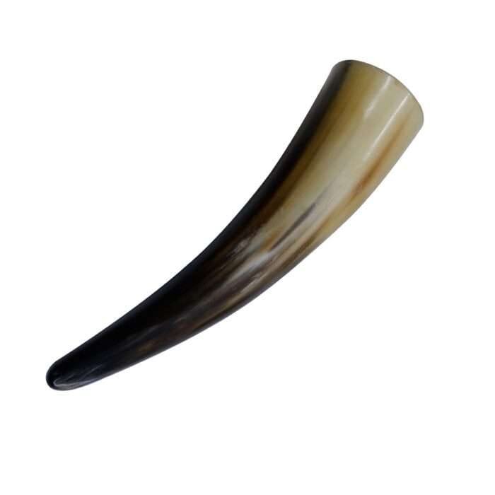 horn 2 copy