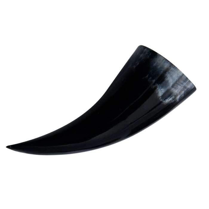horn 4 copy