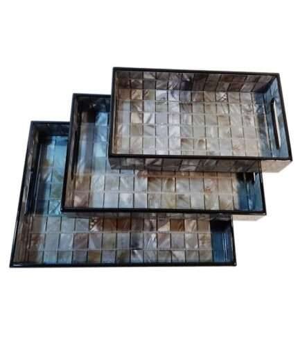 tray1 copy
