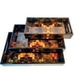tray5 copy