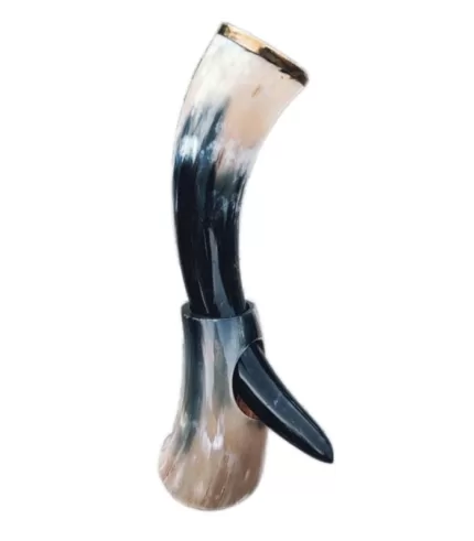 Drinking Horn UT22 jpg