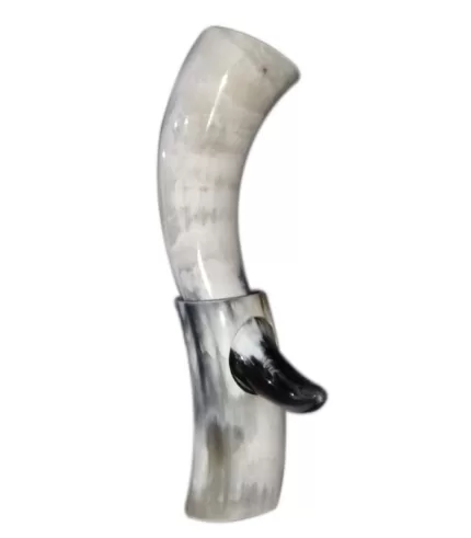 Drinking Horn UT27 copy jpg
