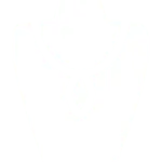 jewellery1