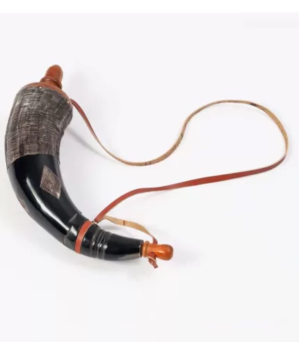Horn2 jpg
