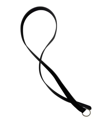 Belt12 copy jpg