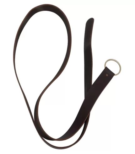 Belt3 copy jpg
