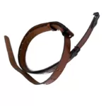 Belt Brown jpg