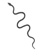 Snake Iron jpg