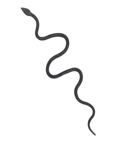 Snake Iron jpg