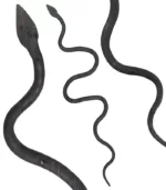 Snake Iron2 jpg