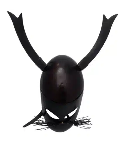 HT40a Helmet jpg