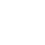 iron icon1