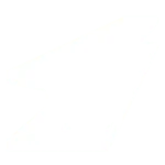 iron icon1