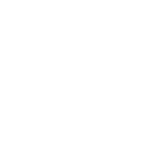 iron icon1