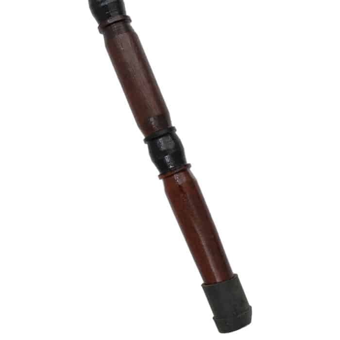 WS04b Walking Stick New bird Head