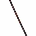 WS04c Walking Stick New bird Head