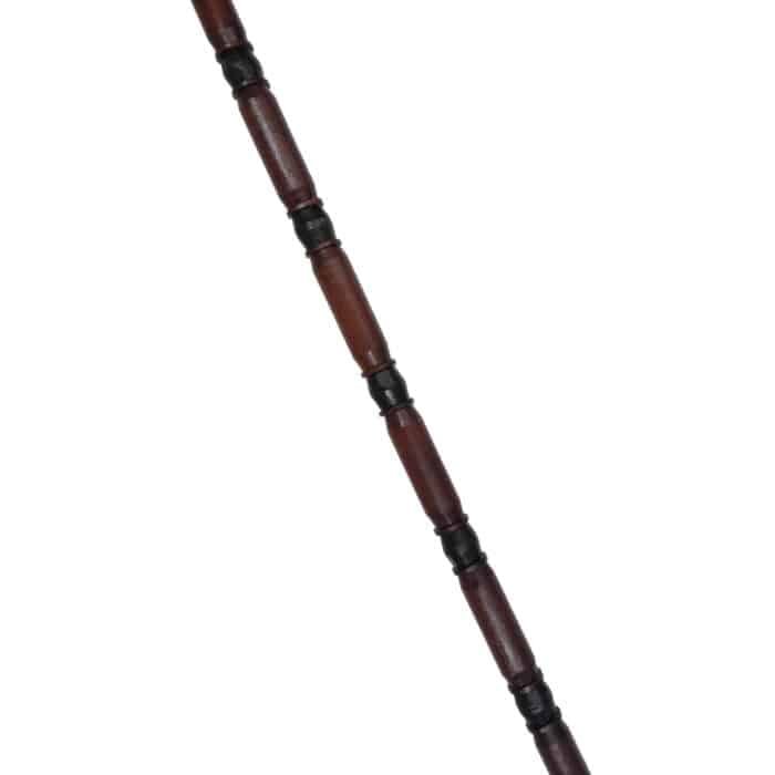 WS04c Walking Stick New bird Head