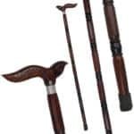 WS04d Walking Stick New bird Head