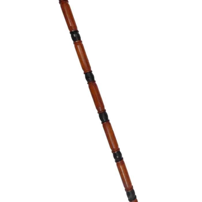 WS06c Walking Stick New lion Head