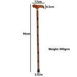 WS06e Walking Stick New lion Head