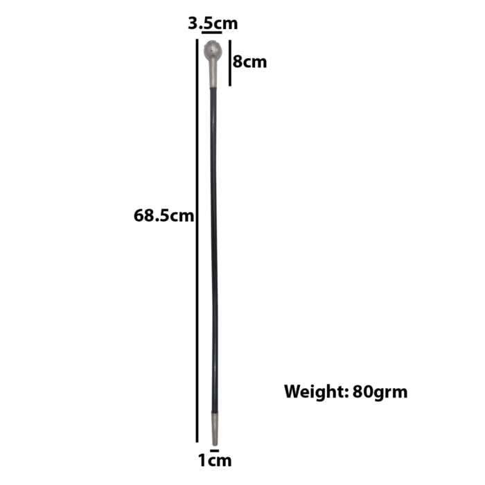 WS15e Swagger stick