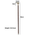 WS17d Lion Head Cane