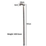 WS21d Crook Handle Cane