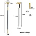 WS23i Eagle Head Samurai Walking Cane