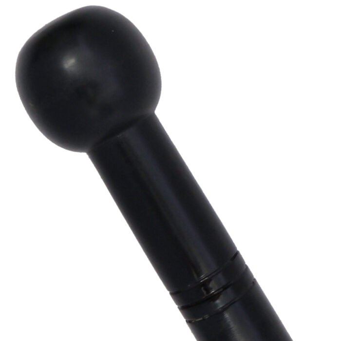 WS24c Decorative Japanese Sword Cane