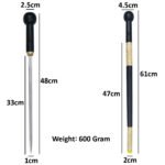WS24i Decorative Japanese Sword Cane