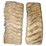 MRYN09 Horn Knife Handle
