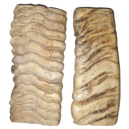 MRYN09 Horn Knife Handle