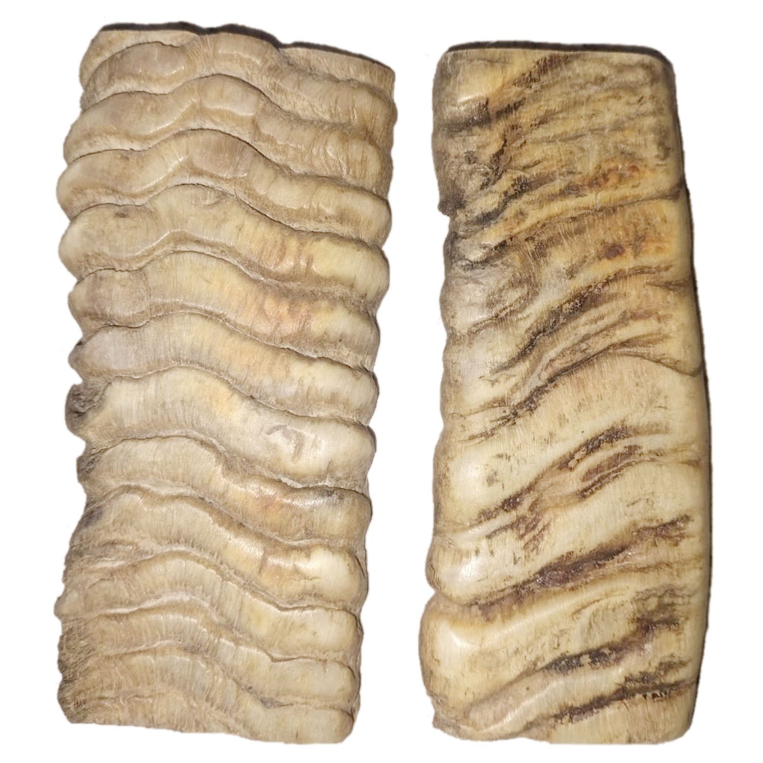 MRYN09 Horn Knife Handle